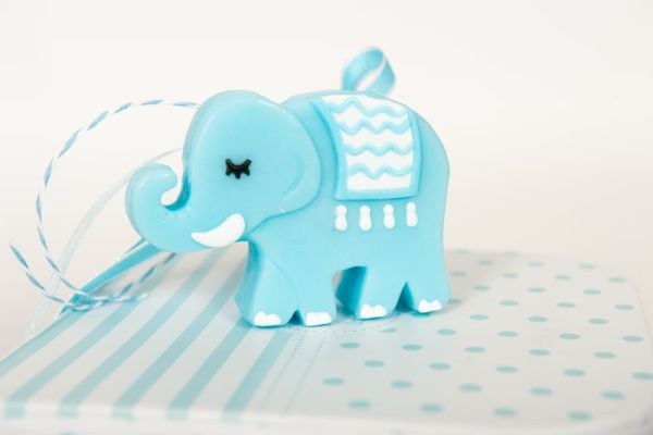 bbbbbbbbbbΣαπούνι Ελεφαντάκι