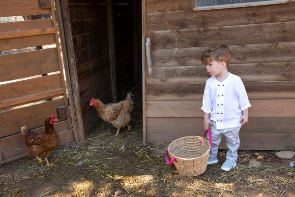 bbbbbbbbbbStock βαπτιστικά ρούχα για αγόρι Bambolino Seth