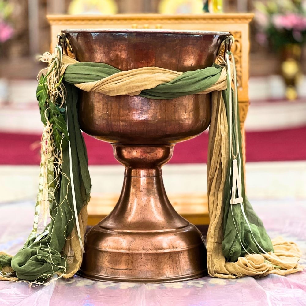 Στολισμός κολυμπήθρας για αγόρι με ζώα της ζούγκλας