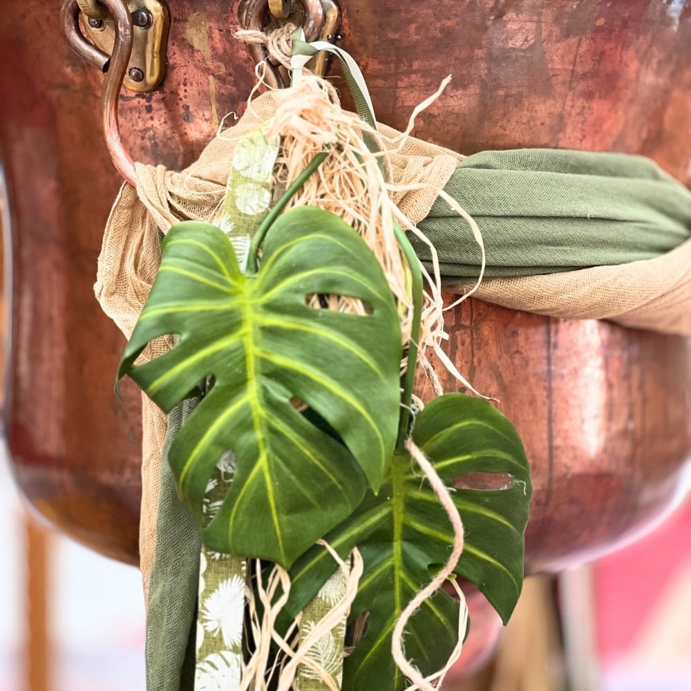 Στολισμός κολυμπήθρας για αγόρι με ζώα της ζούγκλας