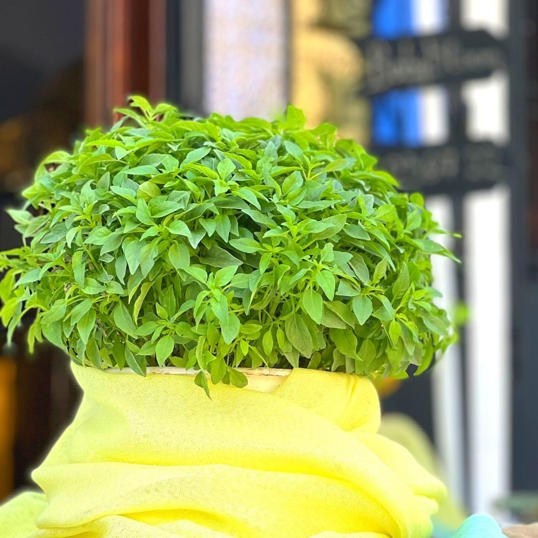 Στολισμός βάπτισης για αγόρι - Θέμα ταξίδι