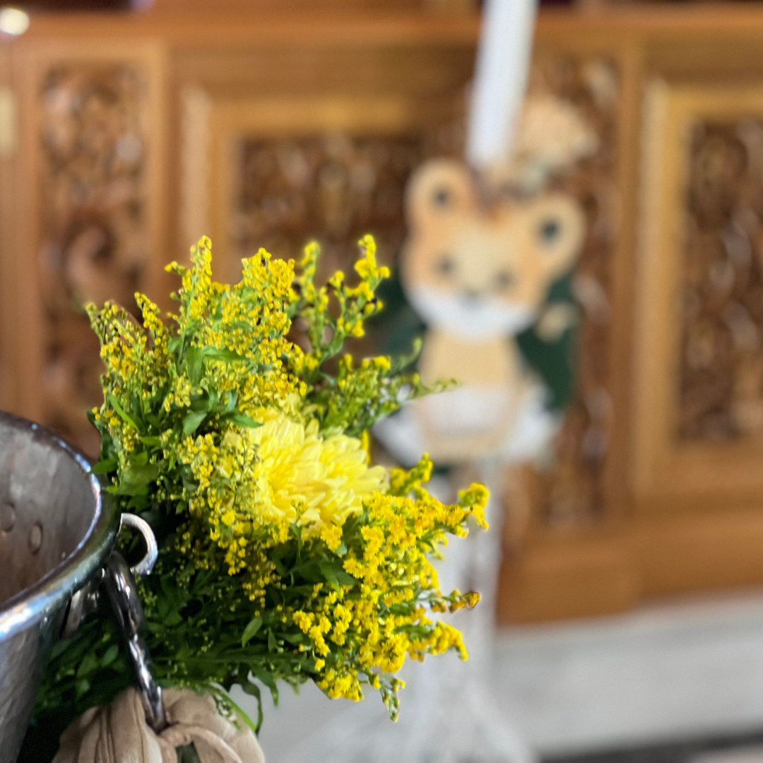 Στολισμός κολυμπήθρας με πρασινάδες και γυψοφίλη