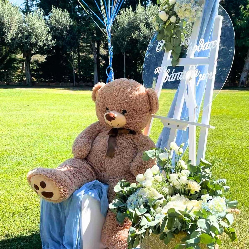 Στολισμός βάπτισης για αγόρι στο κτήμα Ίριδα - Θέμα βάπτισης αρκουδάκι και μπαλόνια