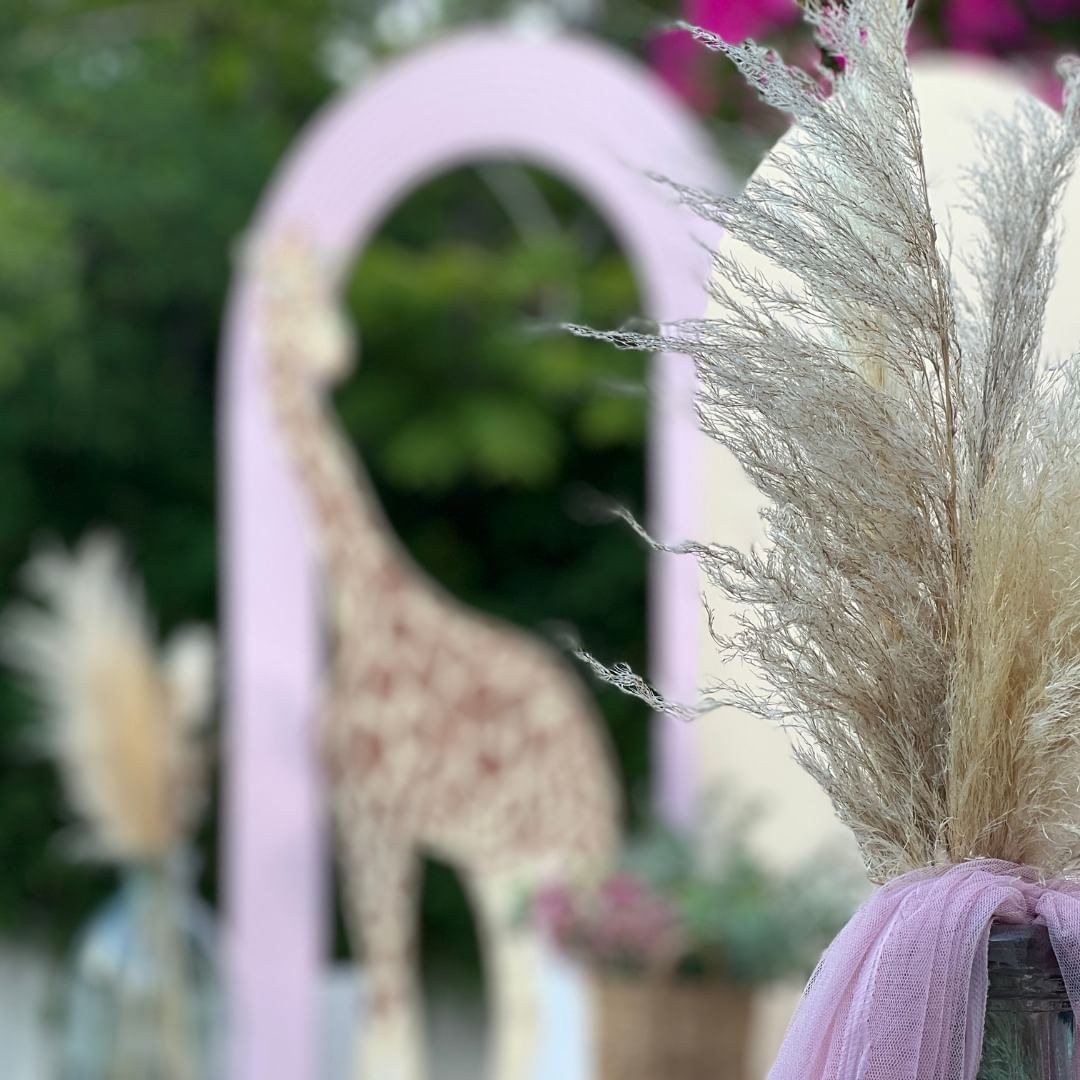 Στολισμός βάπτισης για κορίτσι με θέμα καμηλοπάρδαλη