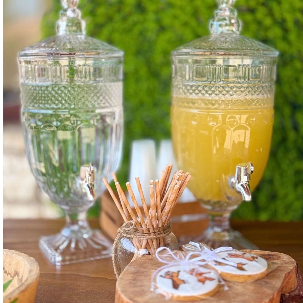 Candy bar βάπτισης για δίδυμα με θέμα τα σκιουράκια