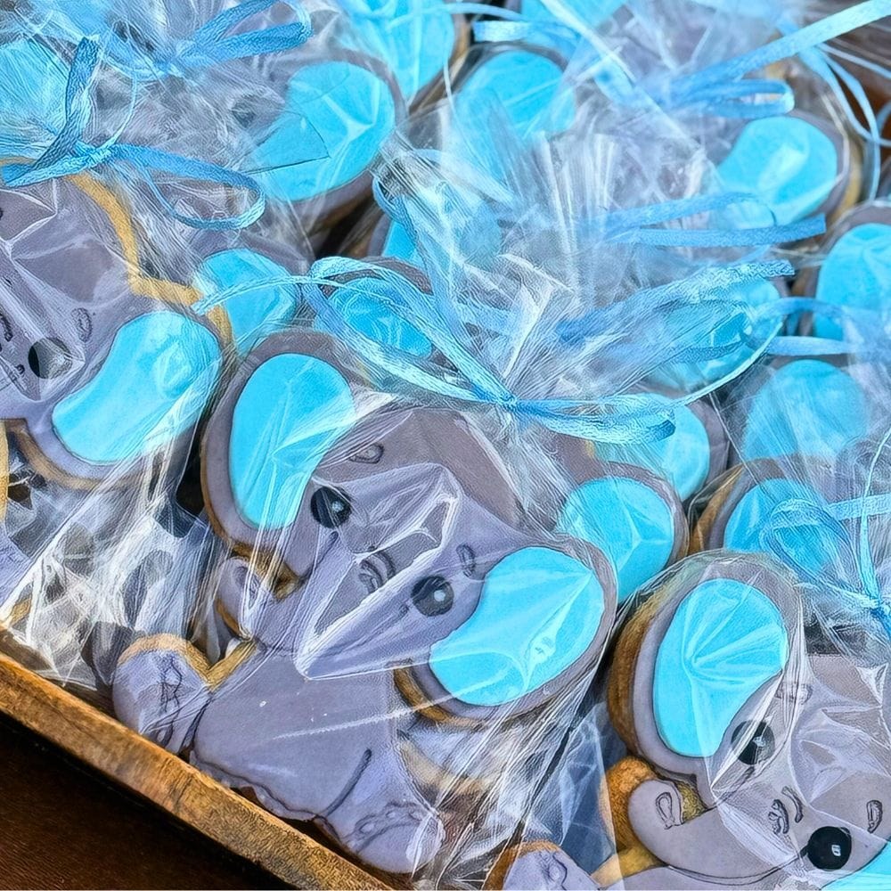 Candy bar βάπτισης για αγόρι με αερόστατο και ελεφαντάκι