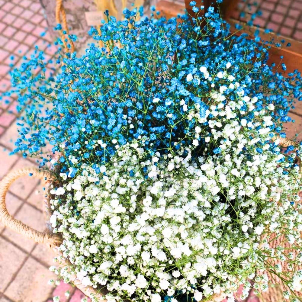 Candy bar βάπτισης για αγόρι με θέμα το άλογο