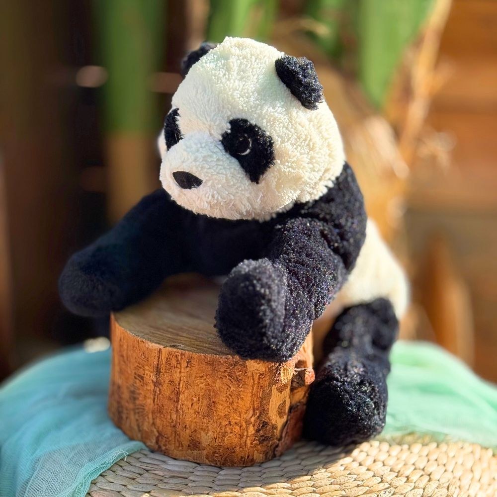 Στολισμός βάπτισης για αγόρι με θέμα το πάντα