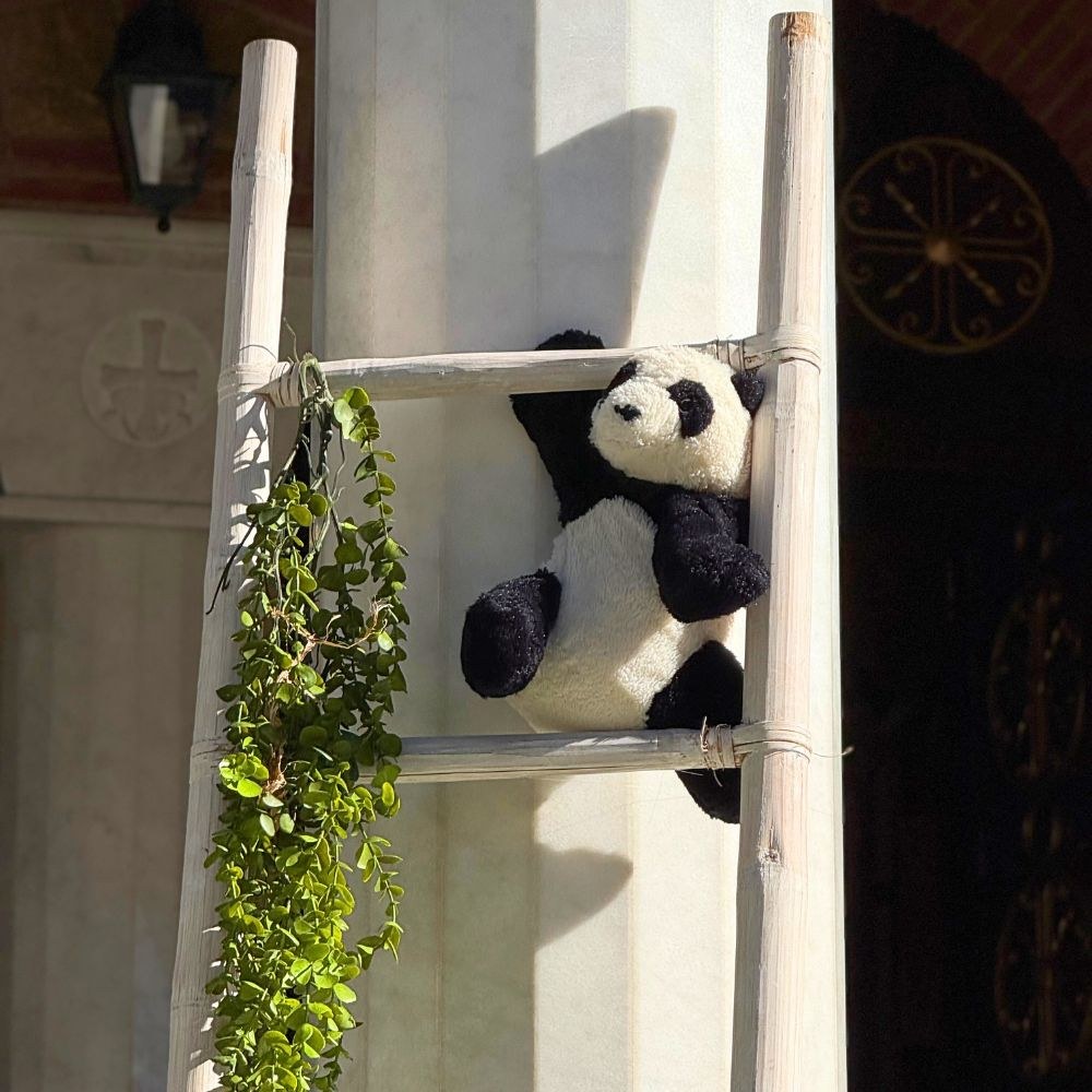 Στολισμός βάπτισης για αγόρι με θέμα το πάντα