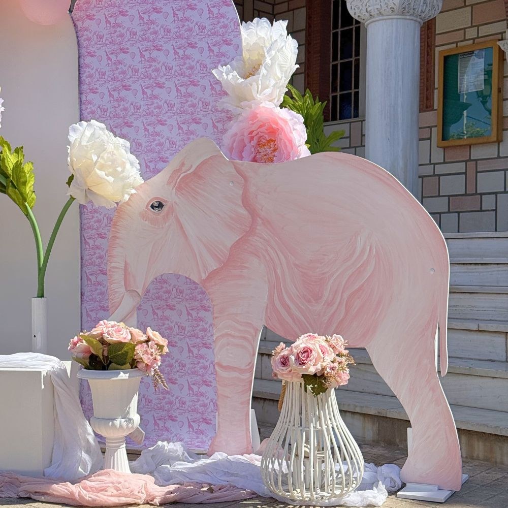 Στολισμός βάπτισης για κορίτσι baby dior