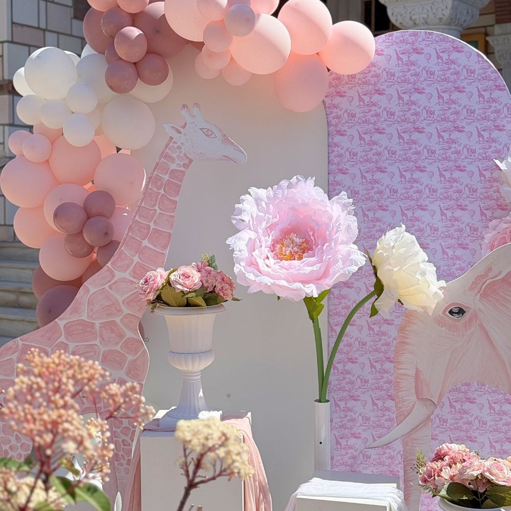 Στολισμός βάπτισης για κορίτσι baby dior