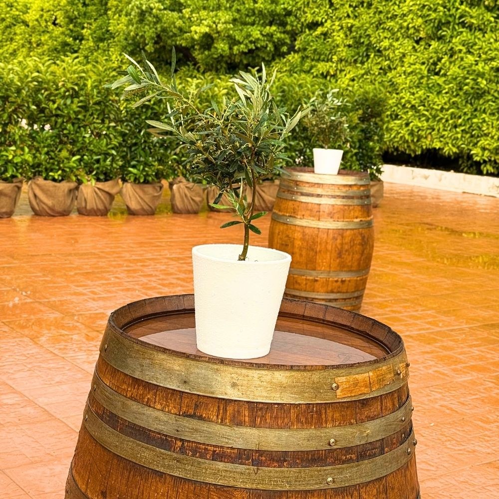 Στολισμός γάμου και βάπτισης με λεμόνια και ελιά