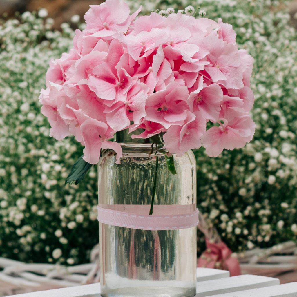 στολισμός βάπτισης για κορίτσι με θέμα ελεφαντάκι