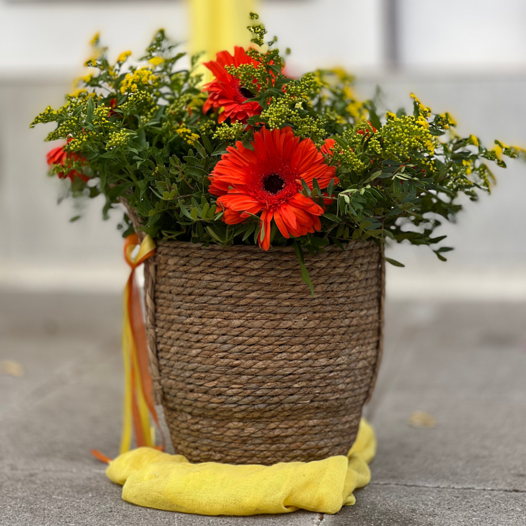 &sigma;&tau;&omicron;&lambda;&iota;&sigma;&mu;ό&sigmaf; &beta;ά&pi;&tau;&iota;&sigma;&eta;&sigmaf; &mu;&epsilon; &kappa;&alpha;&lambda;ά&theta;&iota;&alpha; &kappa;&alpha;&iota; &lambda;&omicron;&upsilon;&lambda;&omicron;ύ&delta;&iota;&alpha;