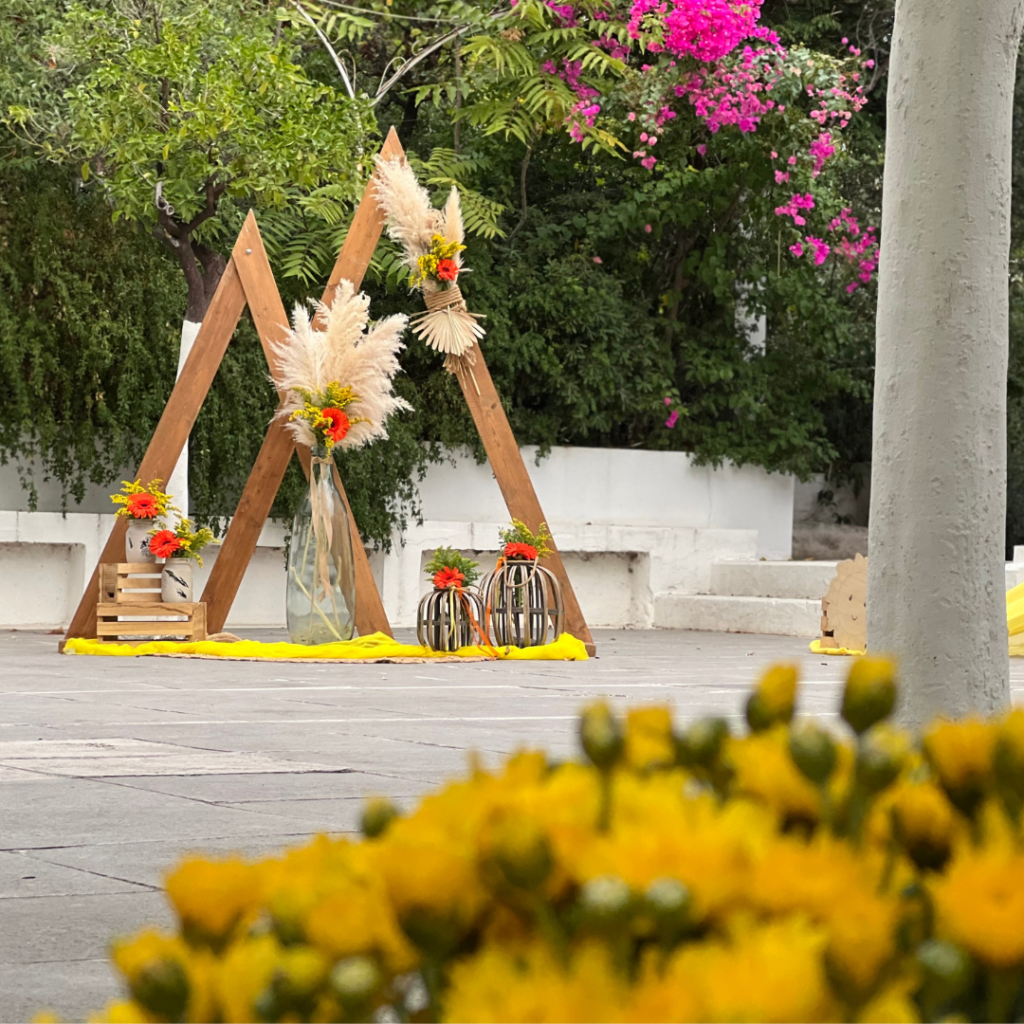 &sigma;&tau;&omicron;&lambda;&iota;&sigma;&mu;ό&sigmaf; &beta;ά&pi;&tau;&iota;&sigma;&eta;&sigmaf; &mu;&epsilon; &tau;&rho;ί&gamma;&omega;&nu;&alpha;, pampas grass &kappa;&alpha;&iota; &sigma;&omicron;&lambda;&iota;&delta;ά&gamma;&omicron;