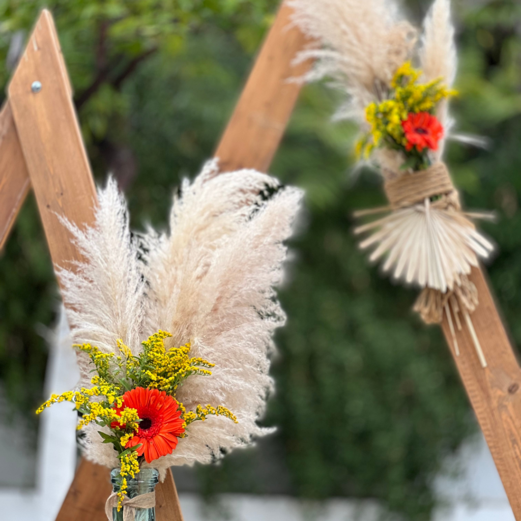 &sigma;&tau;&omicron;&lambda;&iota;&sigma;&mu;ό&sigmaf; &beta;ά&pi;&tau;&iota;&sigma;&eta;&sigmaf; &mu;&epsilon; pampas grass 