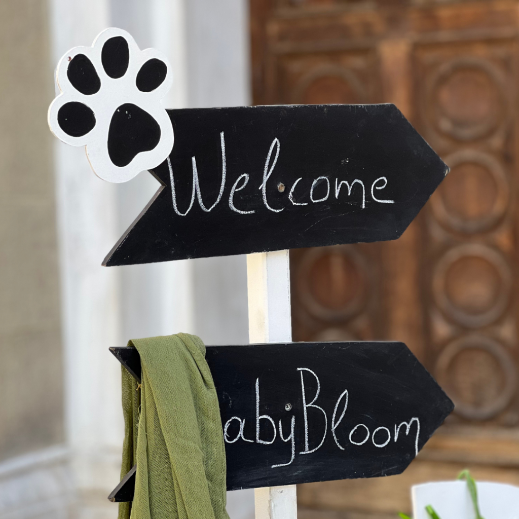 &sigma;&tau;&omicron;&lambda;&iota;&sigma;&mu;ό&sigmaf; &beta;ά&pi;&tau;&iota;&sigma;&eta;&sigmaf; &mu;&epsilon; &theta;έ&mu;&alpha; &tau;&omicron; &pi;ά&nu;&tau;&alpha;