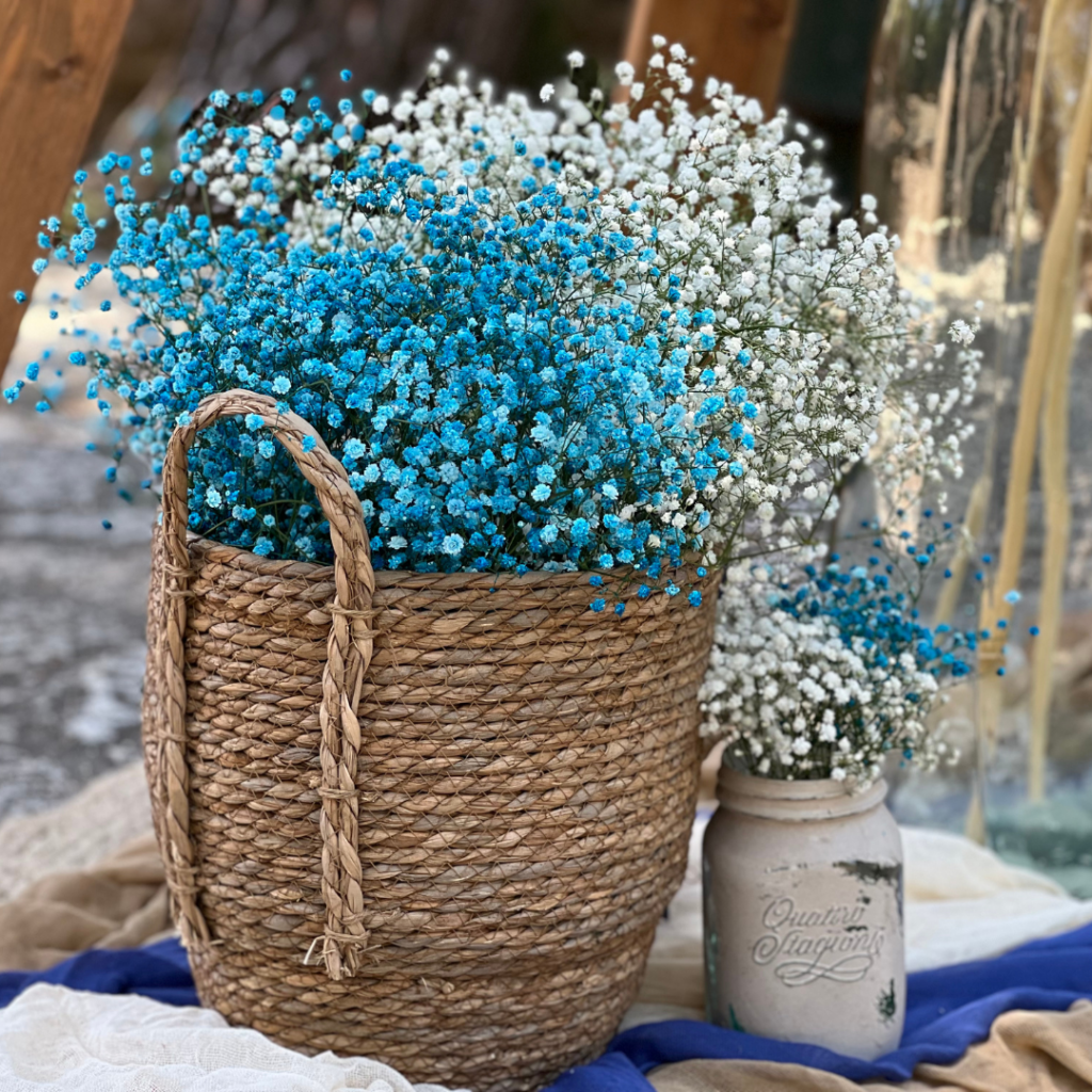 &sigma;&tau;&omicron;&lambda;&iota;&sigma;&mu;ό&sigmaf; &beta;ά&pi;&tau;&iota;&sigma;&eta;&sigmaf; &mu;&epsilon; &psi;&upsilon;&psi;&omicron;&phi;ί&lambda;&eta; &sigma;&epsilon; &psi;ά&theta;&iota;&nu;&alpha; &kappa;&alpha;&lambda;ά&theta;&iota;&alpha; &kappa;&alpha;&iota; &beta;&alpha;&zeta;ά&kappa;&iota;&alpha;