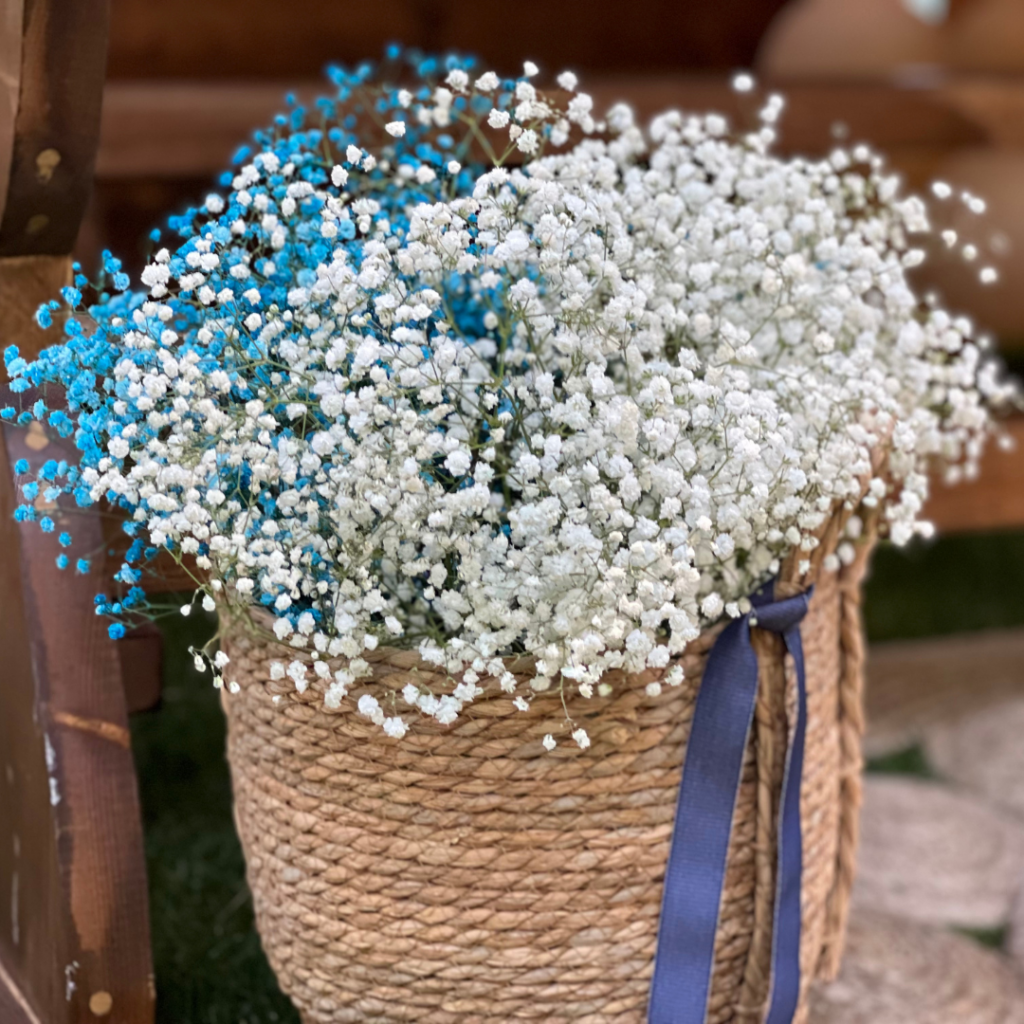 candy bar &beta;ά&pi;&tau;&iota;&sigma;&eta;&sigmaf; &mu;&epsilon; &mu;&pi;&alpha;&lambda;ό&nu;&iota;&alpha; &kappa;&alpha;&iota; &alpha;&nu;&epsilon;&mu;ό&mu;&upsilon;&lambda;&omicron;