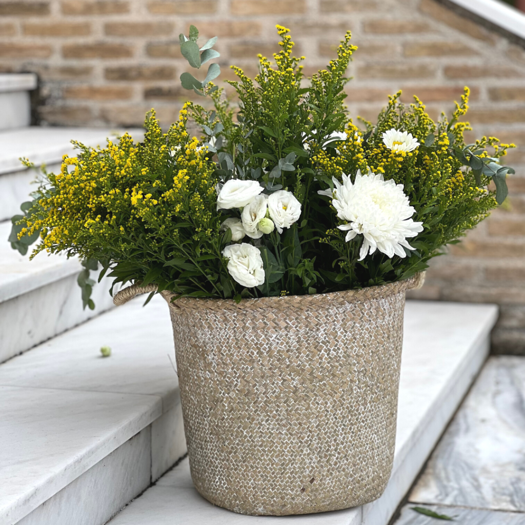 &sigma;&tau;&omicron;&lambda;&iota;&sigma;&mu;ό&sigmaf; &beta;ά&pi;&tau;&iota;&sigma;&eta;&sigmaf; &mu;&epsilon; &mu;&pi;&alpha;&lambda;ό&nu;&iota;&alpha; &kappa;&alpha;&iota; &lambda;&omicron;&upsilon;&lambda;&omicron;ύ&delta;&iota;&alpha;