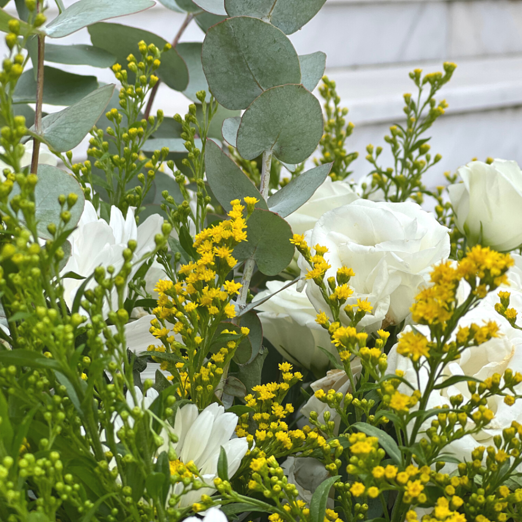 &sigma;&tau;&omicron;&lambda;&iota;&sigma;&mu;ό&sigmaf; &beta;ά&pi;&tau;&iota;&sigma;&eta;&sigmaf; &mu;&epsilon; &mu;&pi;&alpha;&lambda;ό&nu;&iota;&alpha; &kappa;&alpha;&iota; &lambda;&omicron;&upsilon;&lambda;&omicron;ύ&delta;&iota;&alpha;