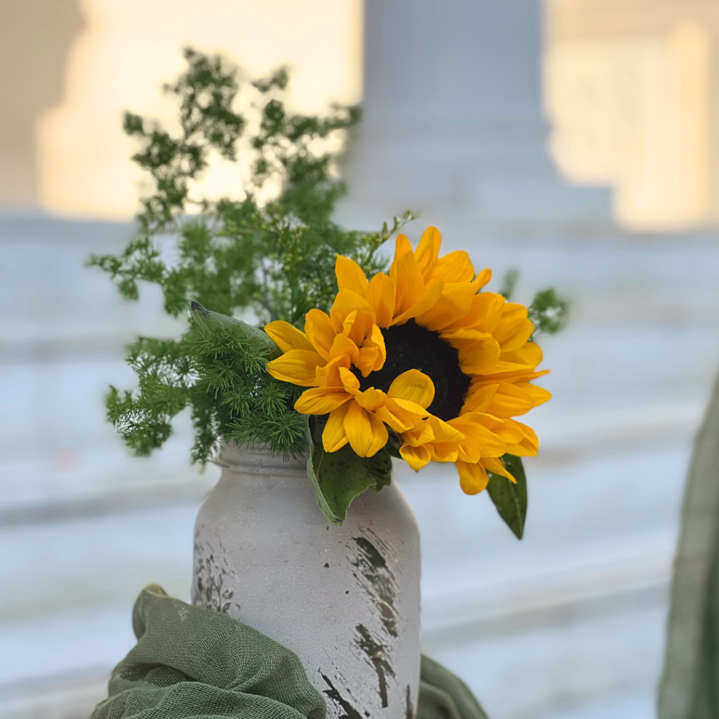 &sigma;&tau;&omicron;&lambda;&iota;&sigma;&mu;ό&sigmaf; &beta;ά&pi;&tau;&iota;&sigma;&eta;&sigmaf; &gamma;&iota;&alpha; &alpha;&gamma;ό&rho;&iota; &mu;&epsilon; &theta;έ&mu;&alpha; &tau;&alpha; &zeta;&omega;ά&kappa;&iota;&alpha; &tau;&eta;&sigmaf; &zeta;&omicron;ύ&gamma;&kappa;&lambda;&alpha;&sigmaf;