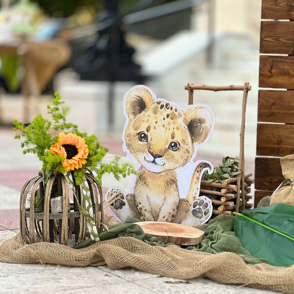 &sigma;&tau;&omicron;&lambda;&iota;&sigma;&mu;ό&sigmaf; &beta;ά&pi;&tau;&iota;&sigma;&eta;&sigmaf; &gamma;&iota;&alpha; &alpha;&gamma;ό&rho;&iota; &mu;&epsilon; &theta;έ&mu;&alpha; &tau;&alpha; &zeta;&omega;ά&kappa;&iota;&alpha; &tau;&eta;&sigmaf; &zeta;&omicron;ύ&gamma;&kappa;&lambda;&alpha;&sigmaf;