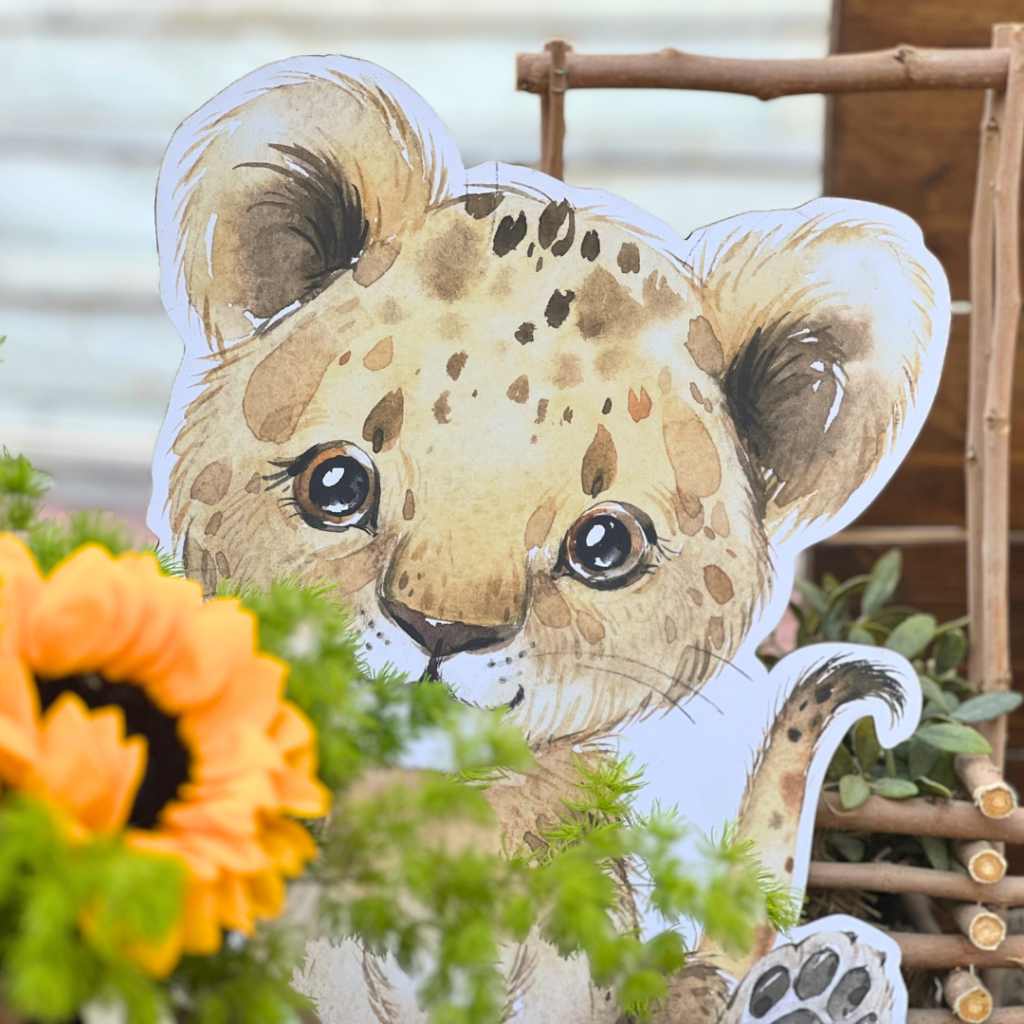 &sigma;&tau;&omicron;&lambda;&iota;&sigma;&mu;ό&sigmaf; &beta;ά&pi;&tau;&iota;&sigma;&eta;&sigmaf; &gamma;&iota;&alpha; &alpha;&gamma;ό&rho;&iota; &mu;&epsilon; &theta;έ&mu;&alpha; &tau;&alpha; &zeta;&omega;ά&kappa;&iota;&alpha; &tau;&eta;&sigmaf; &zeta;&omicron;ύ&gamma;&kappa;&lambda;&alpha;&sigmaf;