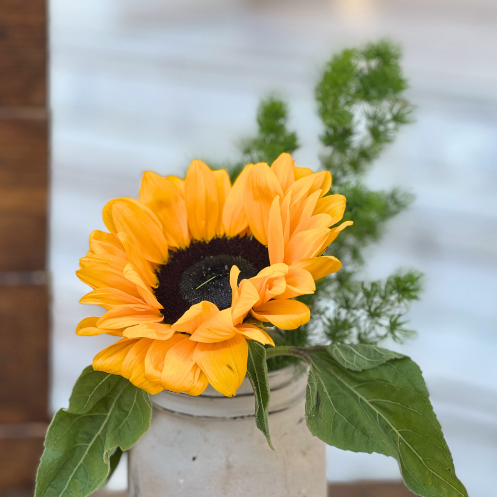 &sigma;&tau;&omicron;&lambda;&iota;&sigma;&mu;ό&sigmaf; &beta;ά&pi;&tau;&iota;&sigma;&eta;&sigmaf; &gamma;&iota;&alpha; &alpha;&gamma;ό&rho;&iota; &mu;&epsilon; &theta;έ&mu;&alpha; &tau;&alpha; &zeta;&omega;ά&kappa;&iota;&alpha; &tau;&eta;&sigmaf; &zeta;&omicron;ύ&gamma;&kappa;&lambda;&alpha;&sigmaf;