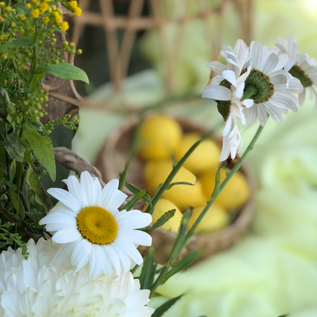 &sigma;&tau;&omicron;&lambda;&iota;&sigma;&mu;ό&sigmaf; &beta;ά&pi;&tau;&iota;&sigma;&eta;&sigmaf; &mu;&epsilon; &theta;έ&mu;&alpha; &tau;&omicron; &lambda;&epsilon;&mu;ό&nu;&iota; &kappa;&alpha;&iota; &tau;&omicron; &alpha;&rho;&kappa;&omicron;&upsilon;&delta;ά&kappa;&iota;