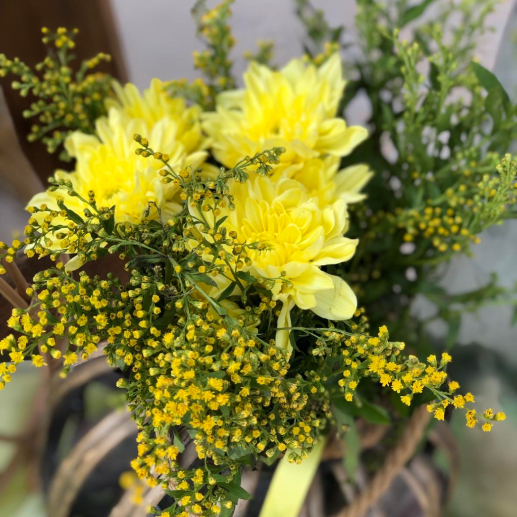 &sigma;&tau;&omicron;&lambda;&iota;&sigma;&mu;ό&sigmaf; &beta;ά&pi;&tau;&iota;&sigma;&eta;&sigmaf; &mu;&epsilon; &theta;έ&mu;&alpha; &tau;&omicron; &lambda;&epsilon;&mu;ό&nu;&iota; &kappa;&alpha;&iota; &tau;&omicron; &alpha;&rho;&kappa;&omicron;&upsilon;&delta;ά&kappa;&iota;