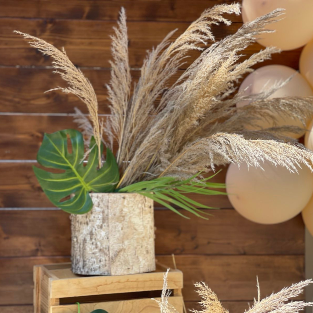 &sigma;&tau;&omicron;&lambda;&iota;&sigma;&mu;ό&sigmaf; &beta;ά&pi;&tau;&iota;&sigma;&eta;&sigmaf; &mu;&epsilon; &zeta;ώ&alpha; &tau;&eta;&sigmaf; &zeta;&omicron;ύ&gamma;&kappa;&lambda;&alpha;&sigmaf;