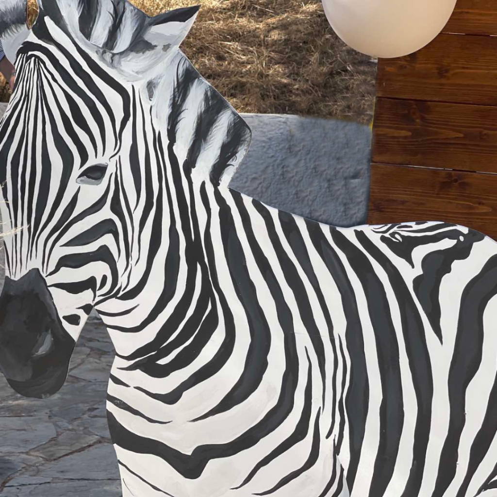 &sigma;&tau;&omicron;&lambda;&iota;&sigma;&mu;ό&sigmaf; &beta;ά&pi;&tau;&iota;&sigma;&eta;&sigmaf; &mu;&epsilon; &zeta;ώ&alpha; &tau;&eta;&sigmaf; &zeta;&omicron;ύ&gamma;&kappa;&lambda;&alpha;&sigmaf;