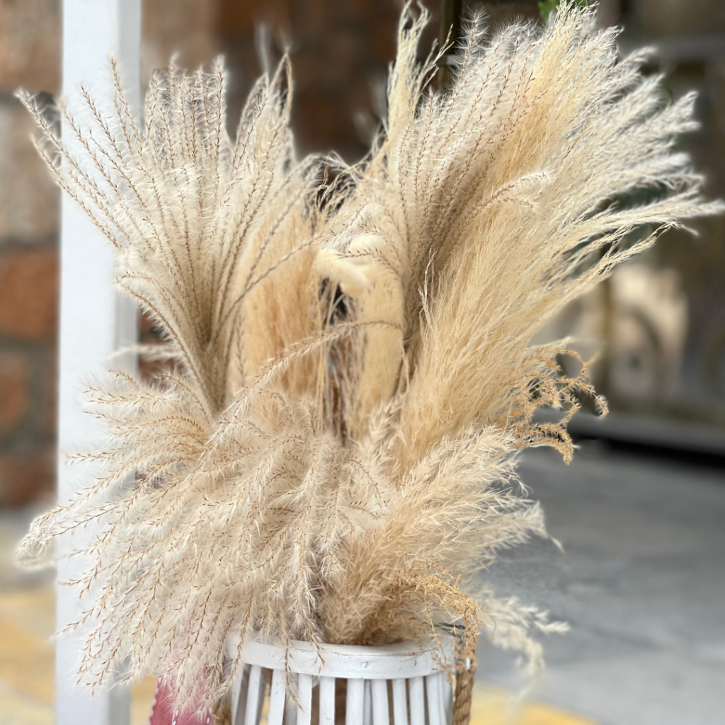 &sigma;&tau;&omicron;&lambda;&iota;&sigma;&mu;ό&sigmaf; &beta;ά&pi;&tau;&iota;&sigma;&eta;&sigmaf; &mu;&epsilon; &theta;έ&mu;&alpha; &tau;&omicron;&nu; &kappa;ύ&kappa;&nu;&omicron;