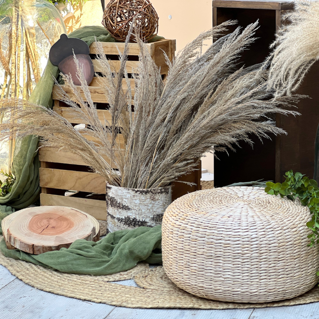 &sigma;&tau;&omicron;&lambda;&iota;&sigma;&mu;ό&sigmaf; &beta;ά&pi;&tau;&iota;&sigma;&eta;&sigmaf; &mu;&epsilon; &theta;έ&mu;&alpha; &tau;&alpha; &sigma;&kappa;&iota;&omicron;&upsilon;&rho;ά&kappa;&iota;&alpha;