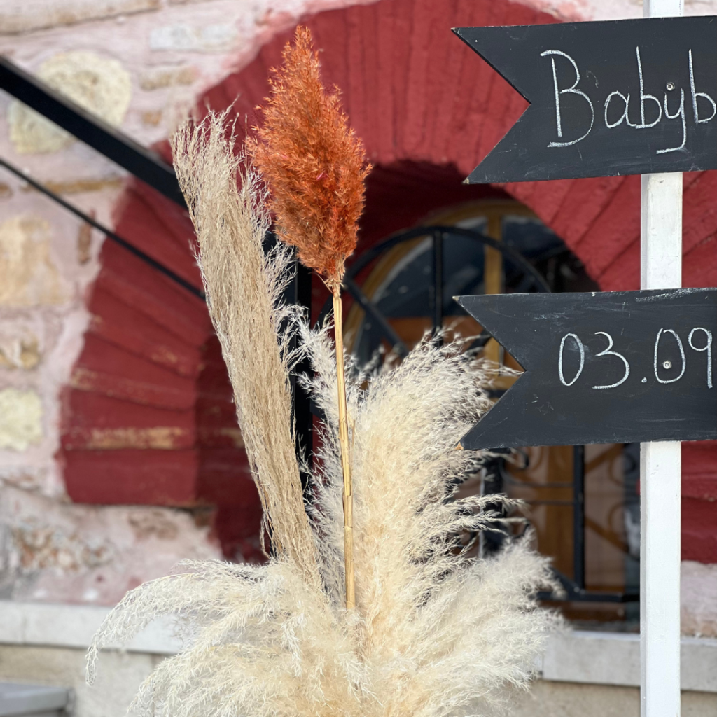 &sigma;&tau;&omicron;&lambda;&iota;&sigma;&mu;ό&sigmaf; &beta;ά&pi;&tau;&iota;&sigma;&eta;&sigmaf; &mu;&epsilon; &theta;έ&mu;&alpha; &tau;&alpha; &sigma;&kappa;&iota;&omicron;&upsilon;&rho;ά&kappa;&iota;&alpha;