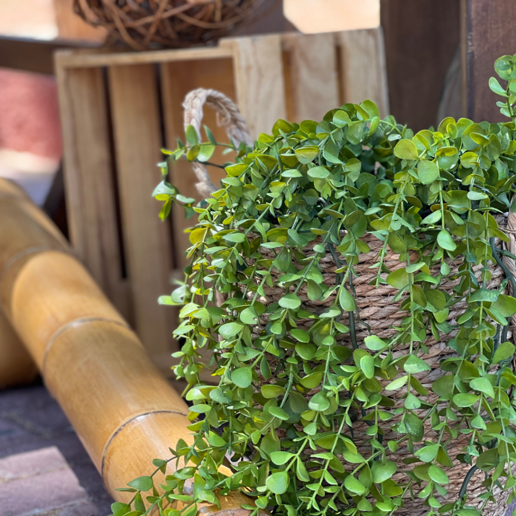 &sigma;&tau;&omicron;&lambda;&iota;&sigma;&mu;ό&sigmaf; &mu;&epsilon; &lambda;&omicron;&upsilon;&lambda;&omicron;ύ&delta;&iota;&alpha; &sigma;&epsilon; candy bar &beta;ά&pi;&tau;&iota;&sigma;&eta;&sigmaf; &sigma;&kappa;&iota;&omicron;&upsilon;&rho;ά&kappa;&iota;&alpha;