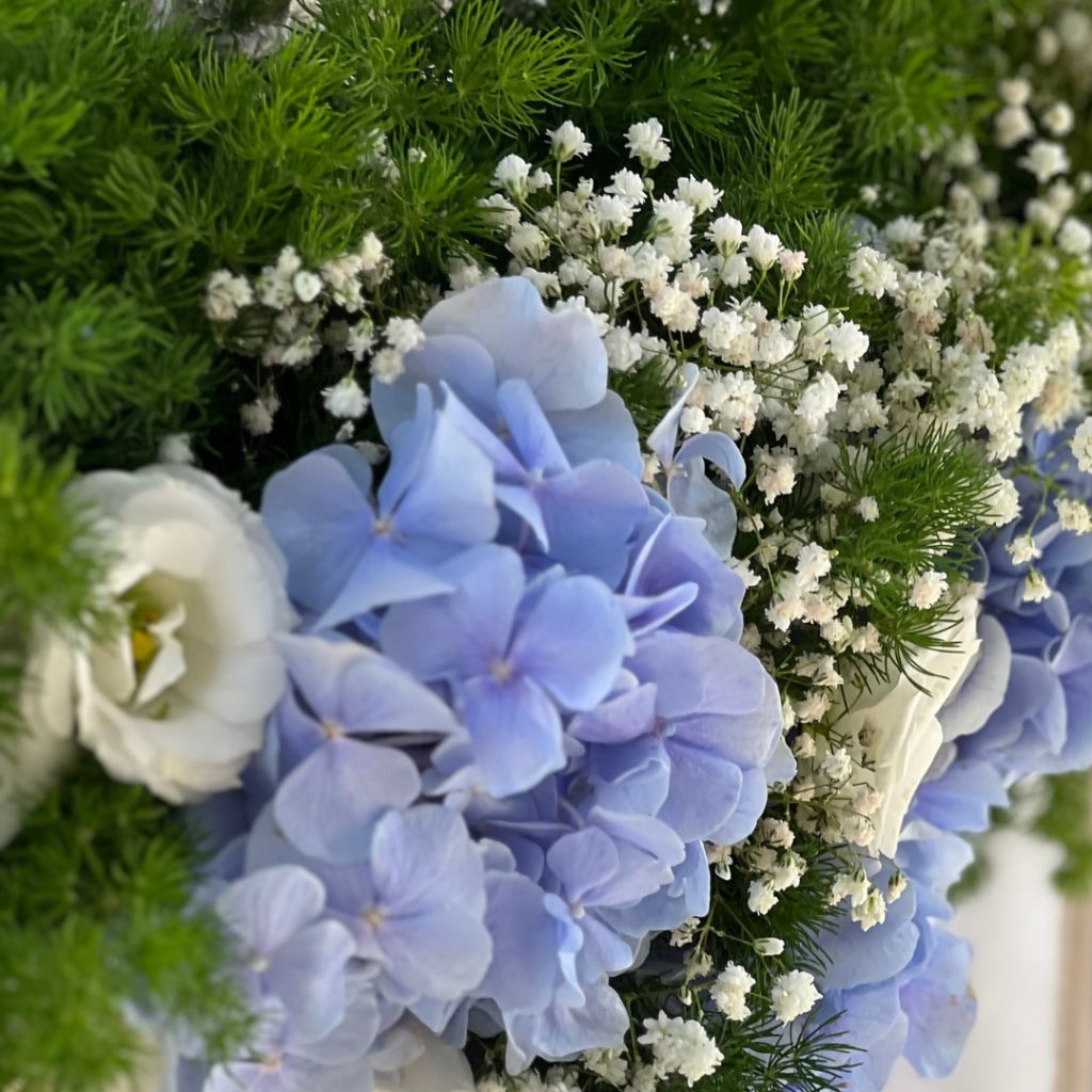 &sigma;&tau;&omicron;&lambda;&iota;&sigma;&mu;ό&sigmaf; &kappa;&omicron;&lambda;&upsilon;&mu;&pi;ή&theta;&rho;&alpha;&sigmaf;