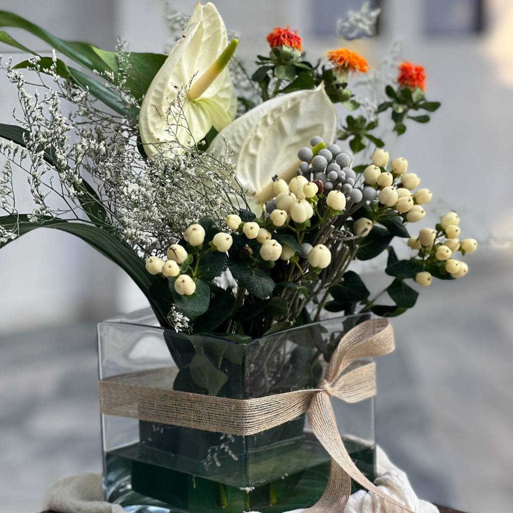 tropical &sigma;&tau;&omicron;&lambda;&iota;&sigma;&mu;ό&sigmaf; &gamma;ά&mu;&omicron;&upsilon;