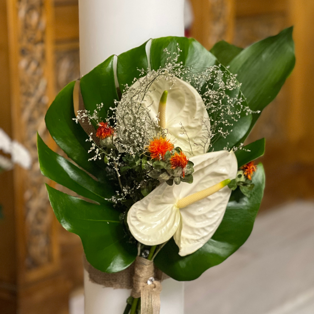 tropical &sigma;&tau;&omicron;&lambda;&iota;&sigma;&mu;ό&sigmaf; &gamma;ά&mu;&omicron;&upsilon;