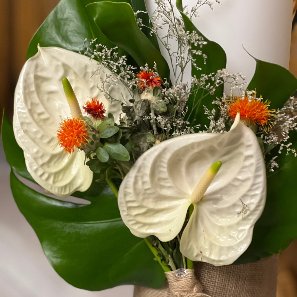 tropical &sigma;&tau;&omicron;&lambda;&iota;&sigma;&mu;ό&sigmaf; &gamma;ά&mu;&omicron;&upsilon;