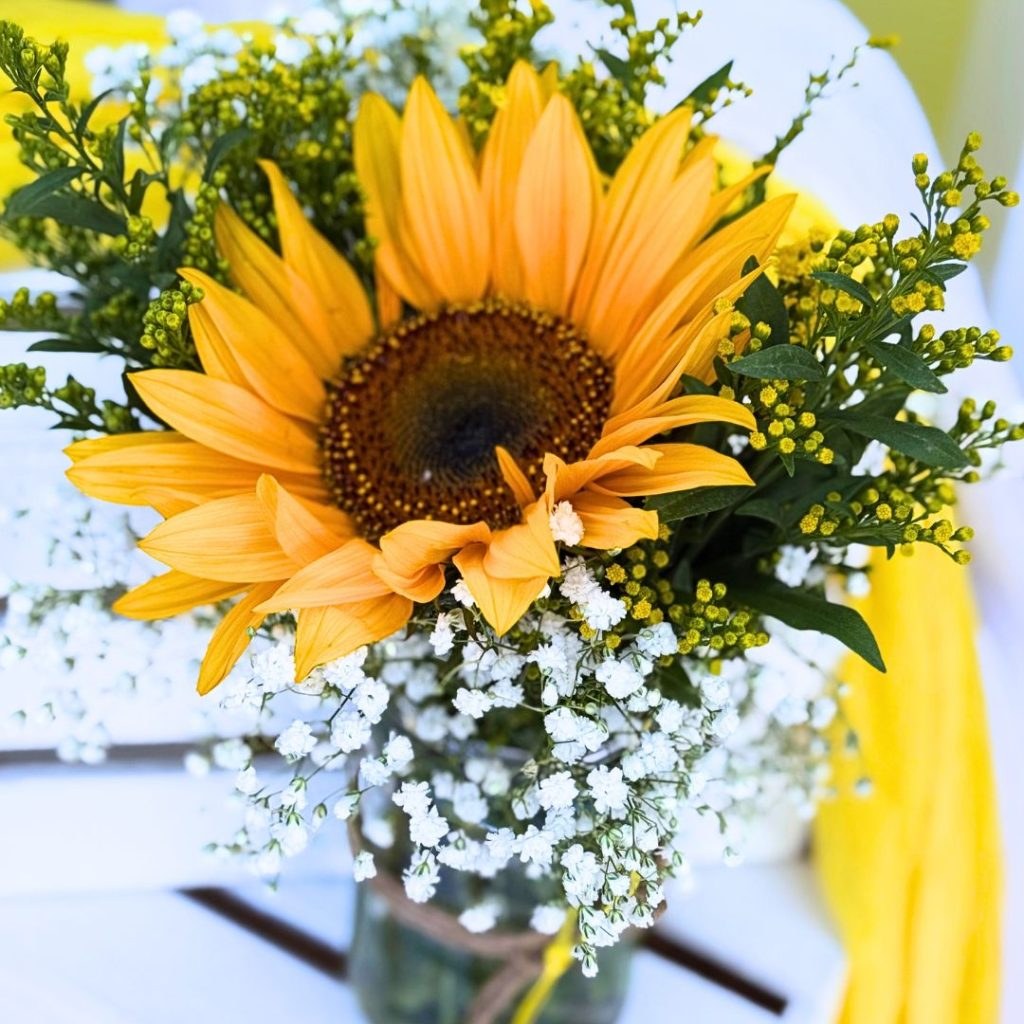 &lambda;&omicron;&upsilon;&lambda;&omicron;ύ&delta;&iota;&alpha; &gamma;&iota;&alpha; &sigma;&tau;&omicron;&lambda;&iota;&sigma;&mu;ό &beta;ά&pi;&tau;&iota;&sigma;&eta;&sigmaf; &mu;&epsilon; &theta;έ&mu;&alpha; &tau;&iota;&sigmaf; &mu;έ&lambda;&iota;&sigma;&sigma;&epsilon;&sigmaf;