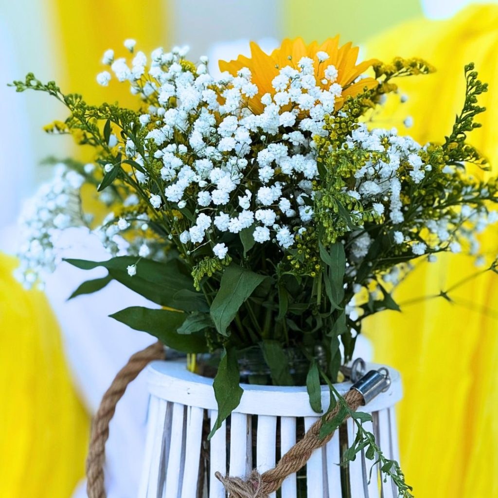 &lambda;&omicron;&upsilon;&lambda;&omicron;ύ&delta;&iota;&alpha; &gamma;&iota;&alpha; &sigma;&tau;&omicron;&lambda;&iota;&sigma;&mu;ό &beta;ά&pi;&tau;&iota;&sigma;&eta;&sigmaf; &mu;&epsilon; &theta;έ&mu;&alpha; &tau;&iota;&sigmaf; &mu;έ&lambda;&iota;&sigma;&sigma;&epsilon;&sigmaf;