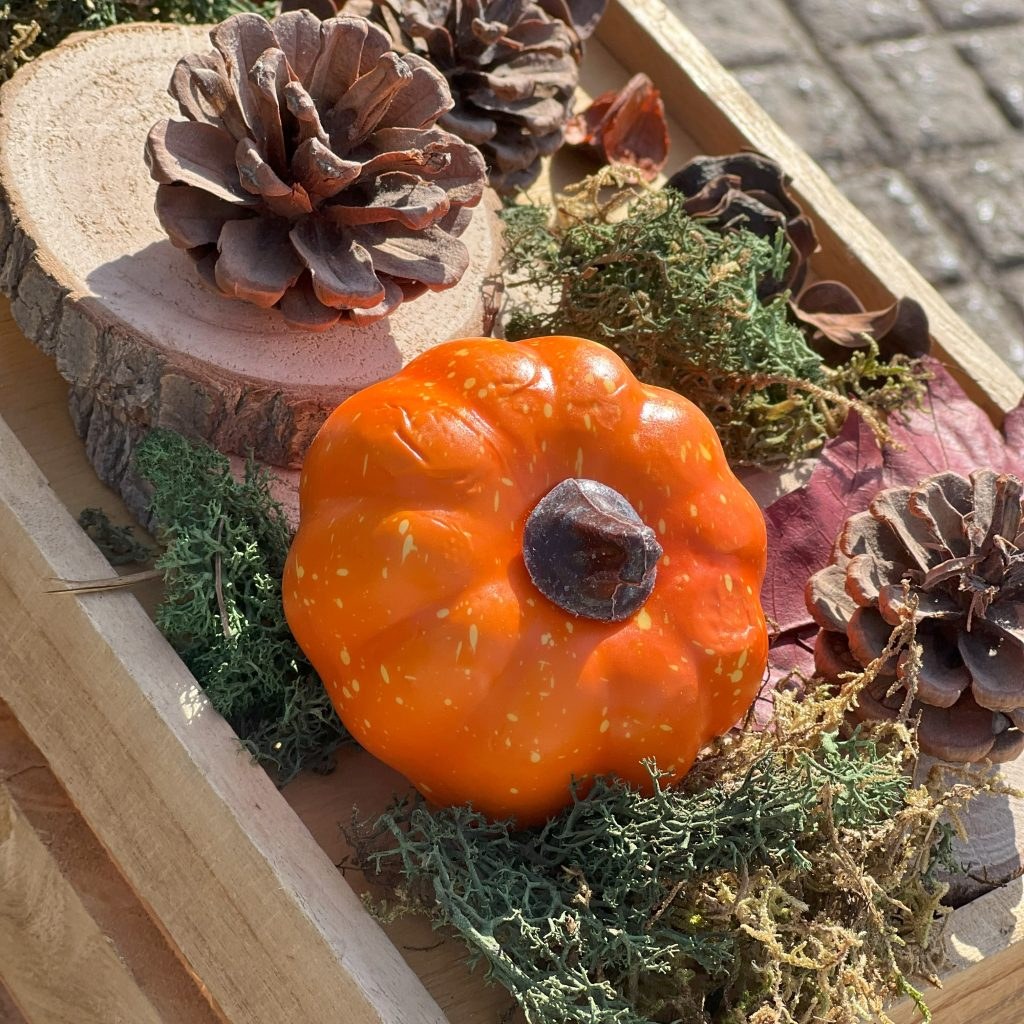 &phi;&theta;&iota;&nu;&omicron;&pi;&omega;&rho;&iota;&nu;ό&sigmaf; &sigma;&tau;&omicron;&lambda;&iota;&sigma;&mu;ό&sigmaf; &gamma;ά&mu;&omicron;&upsilon;